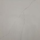 Calacatta Sienna Silver